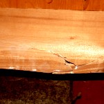 Let There Be Light! Part 2: How to Repair a Split Floor Joist